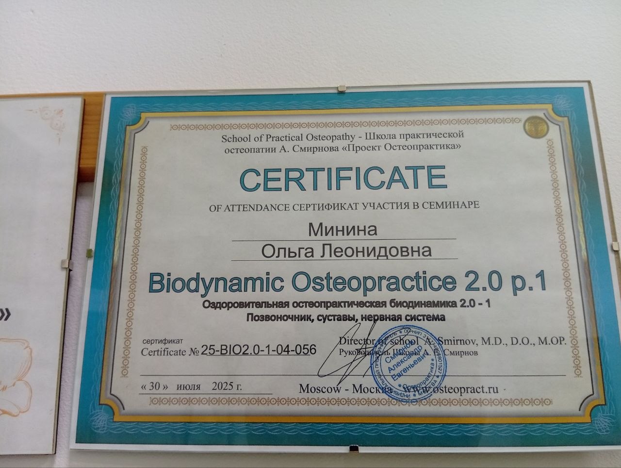 Диплом об образовании по остеопатии - документ 2