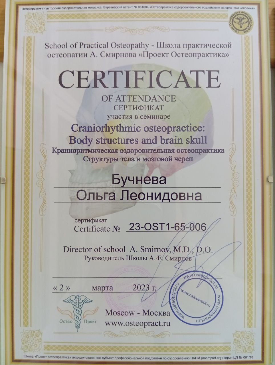 Свидетельство об окончании курсов остеопатии - документ 7